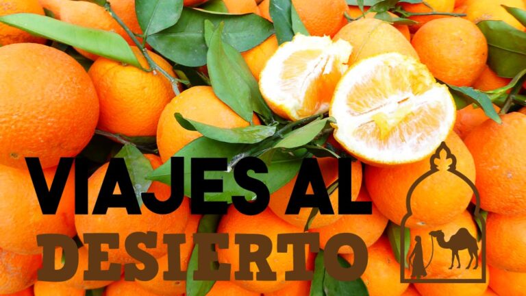 Cómo comprar alimentos en Marruecos