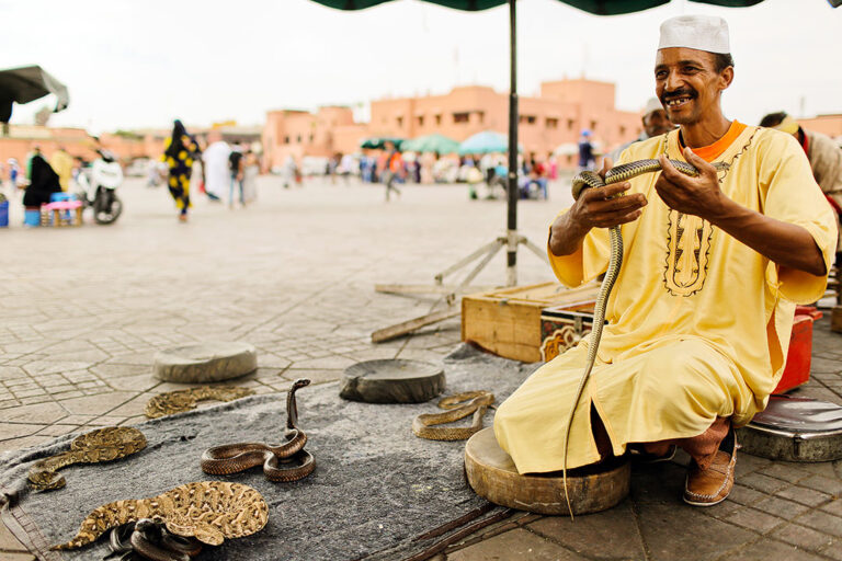 Guía de Marrakech, Marruecos- Hay tanto que hacer en Marrakech