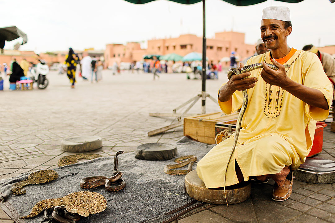 ¿Qué merece la pena ver en Marrakech?
