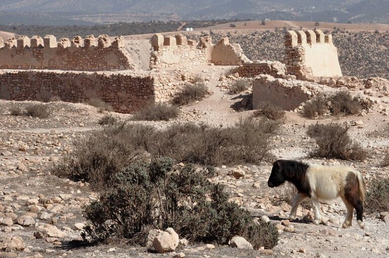 Qué hacer en Agadir