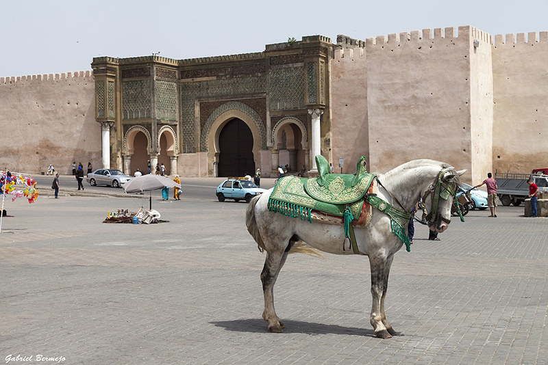 Los mejores zocos de Meknes