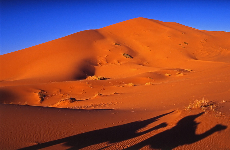 Temperatura en el desierto del Sahara