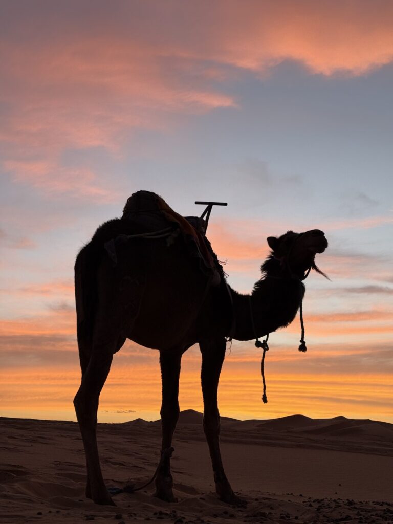 ¿Qué vale la pena visitar en Marruecos?